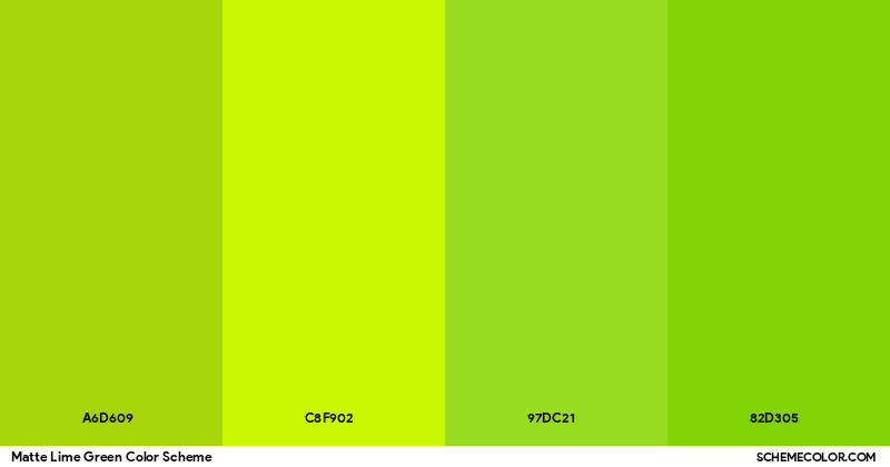 Snack &amp; Refreshment Sets 1 – The Cozy Snack Break